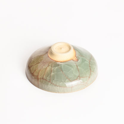 盃　米色瓷　和泉良法 KOTOPOTTER