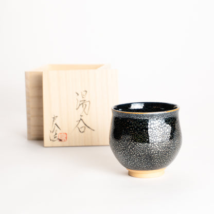 湯呑　銀星　和泉良法 KOTOPOTTER