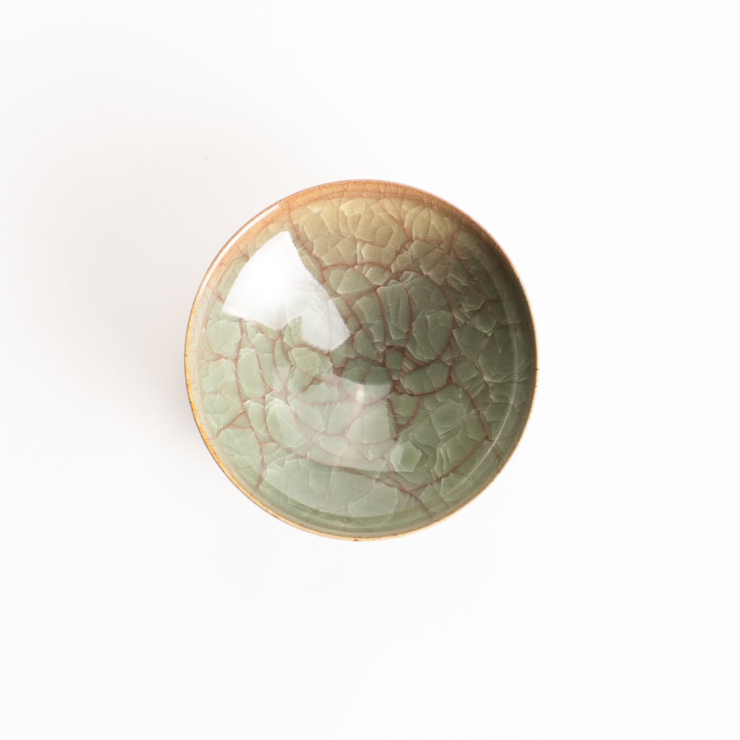 盃　米色瓷　和泉良法 KOTOPOTTER