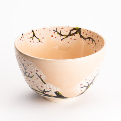 抹茶碗　淡桃交趾 "満開の桜"　一如 KOTOPOTTER