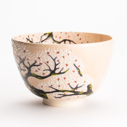 抹茶碗　淡桃交趾 "満開の桜"　一如 KOTOPOTTER