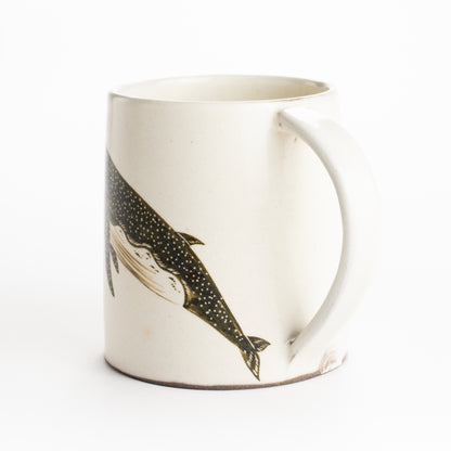 【清水焼】マグカップ　ザトウクジラ　澤田卓伸 KOTOPOTTER