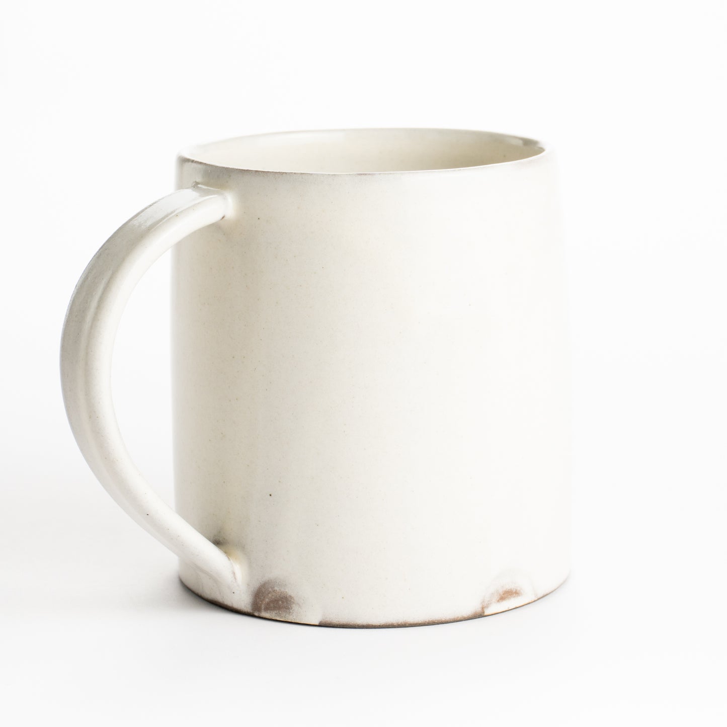 【清水焼】マグカップ　ヤモリ　澤田卓伸 KOTOPOTTER