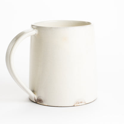 【清水焼】マグカップ　エイ　澤田卓伸 KOTOPOTTER