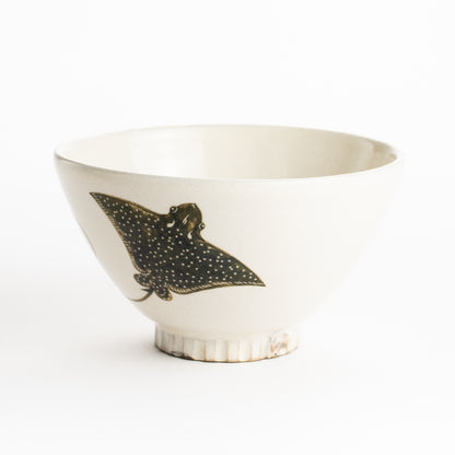 【清水焼】茶碗　エイ　澤田卓伸 KOTOPOTTER