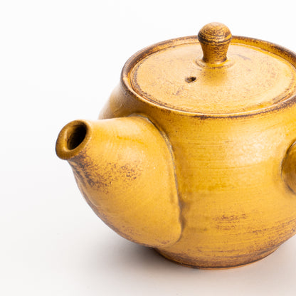 【清水焼】急須　伊羅保　忠敏窯 KOTOPOTTER