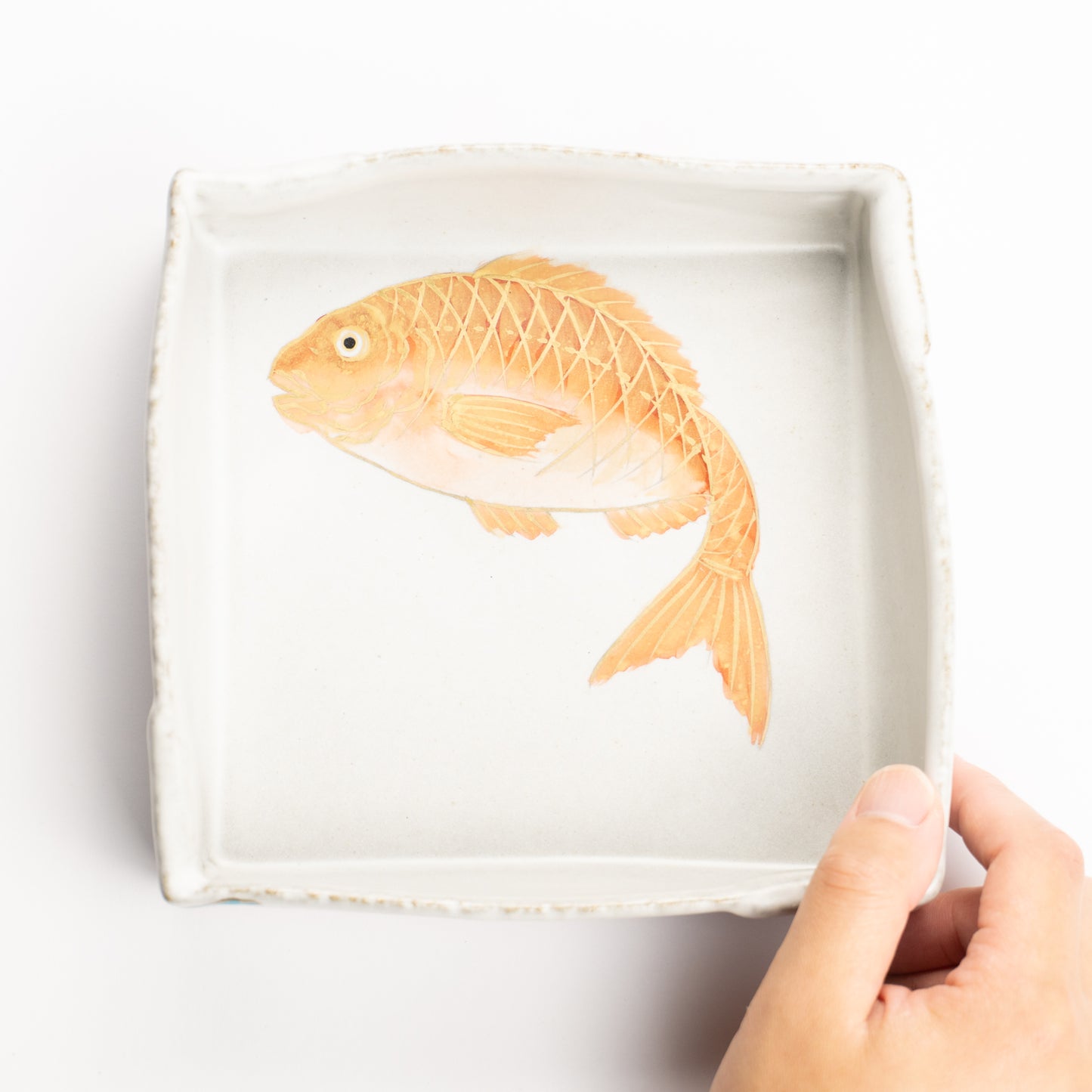 【清水焼】箱皿　色絵金彩"鯛"　伊藤典哲 KOTOPOTTER