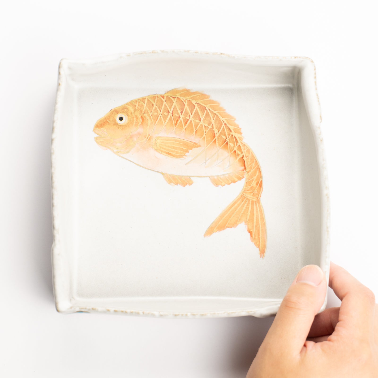 【清水焼】箱皿　色絵金彩"鯛"　伊藤典哲 KOTOPOTTER