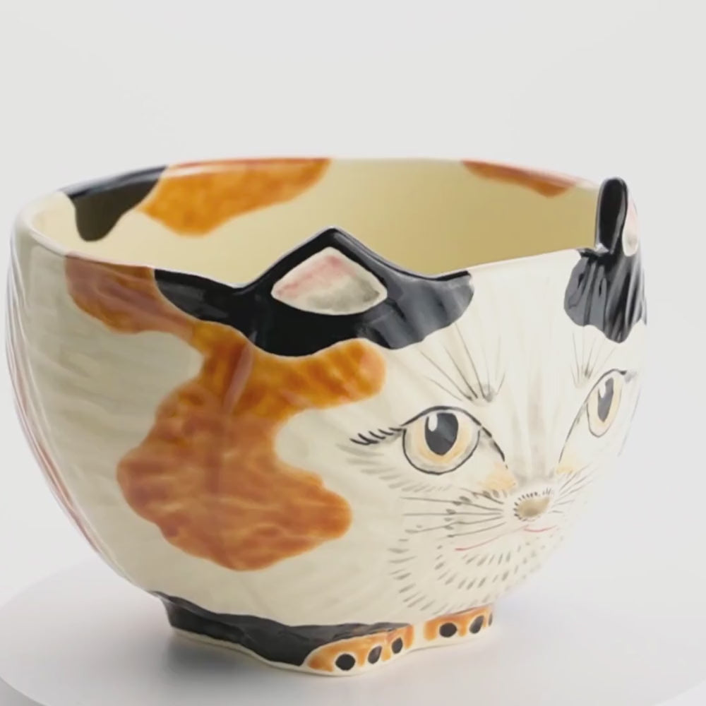 【清水焼】抹茶碗　三毛猫　良二