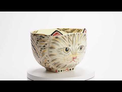 抹茶碗　キジトラ猫　良二