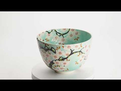 抹茶碗　淡青交趾 "満開の桜"　一如