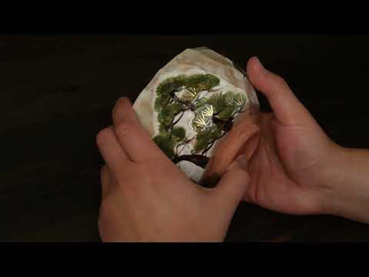 抹茶碗　雪松之図　俊山窯