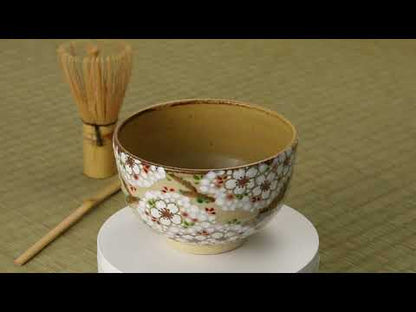 抹茶碗　掛分"満開の桜”　定一